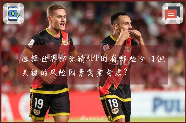 选择世界杯竞猜APP时有哪些冷门但关键的风险因素需要考虑？
