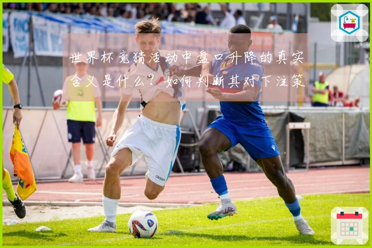 世界杯竞猜活动中盘口升降的真实含义是什么？如何判断其对下注策略的影响？