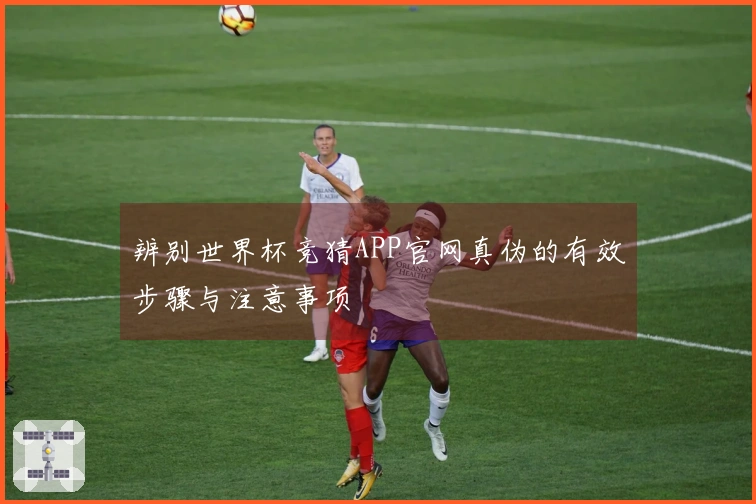 辨别世界杯竞猜APP官网真伪的有效步骤与注意事项