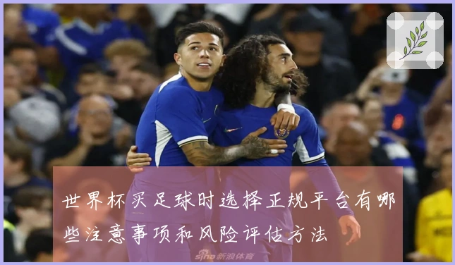 世界杯买足球时选择正规平台有哪些注意事项和风险评估方法
