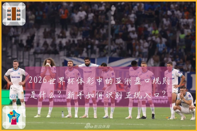 2026世界杯体彩中的亚洲盘口规则是什么？新手如何识别正规入口？