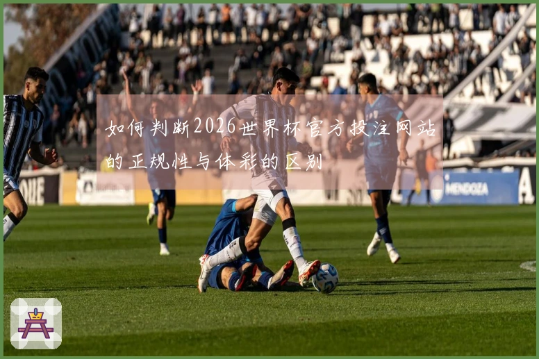 如何判断2026世界杯官方投注网站的正规性与体彩的区别