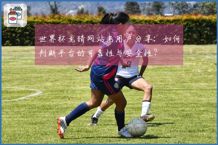 世界杯竞猜网站老用户分享：如何判断平台的可靠性与安全性？
