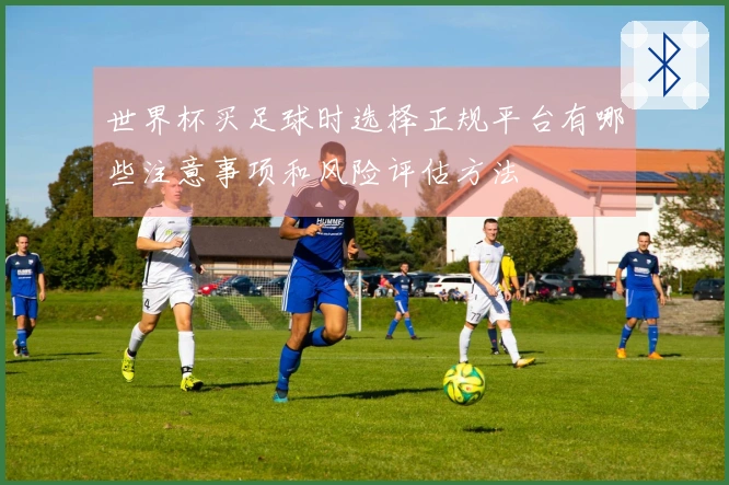世界杯买足球时选择正规平台有哪些注意事项和风险评估方法