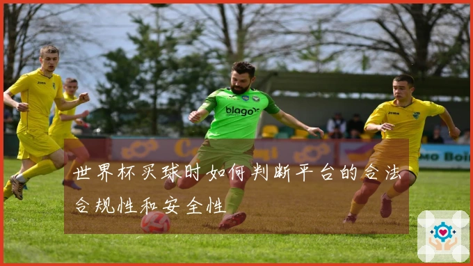 世界杯买球时如何判断平台的合法合规性和安全性