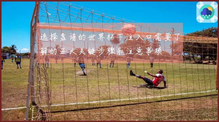 选择靠谱的世界杯下注入口需要了解的五大关键步骤和注意事项