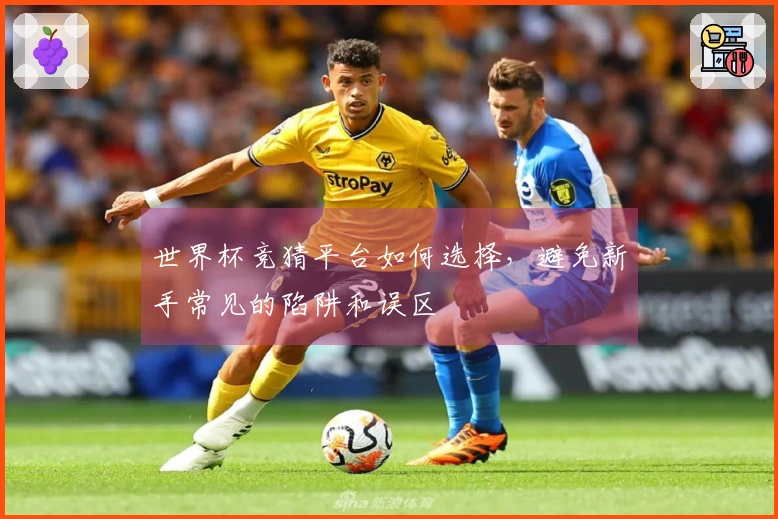 世界杯竞猜平台如何选择，避免新手常见的陷阱和误区